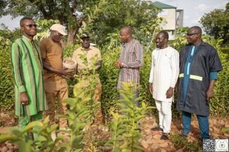 Plant Burkina Faso