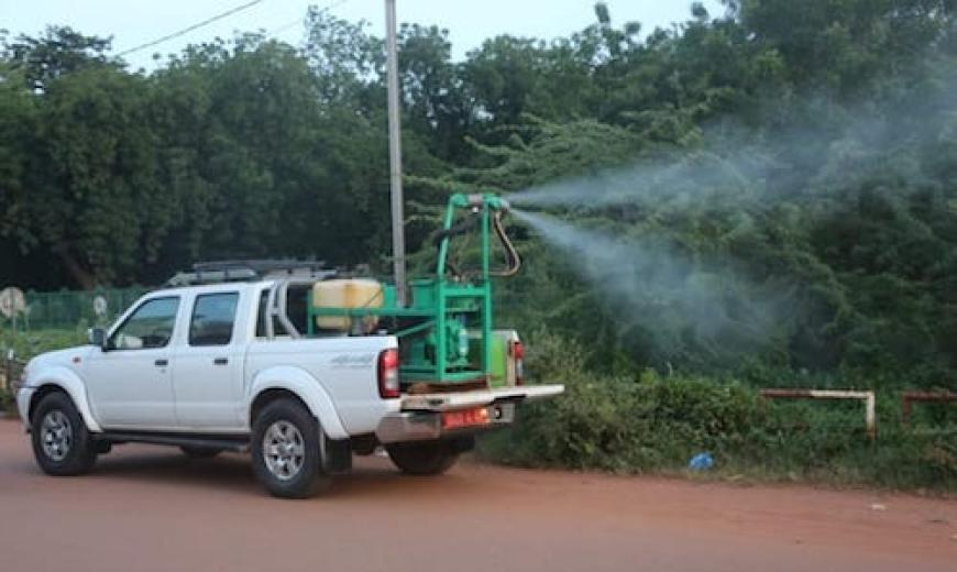 Dengue