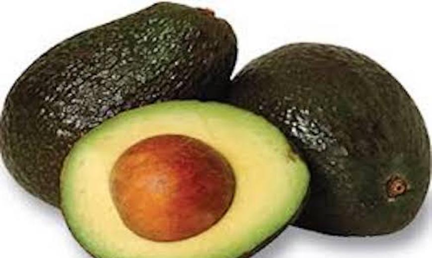 Avocat fruit