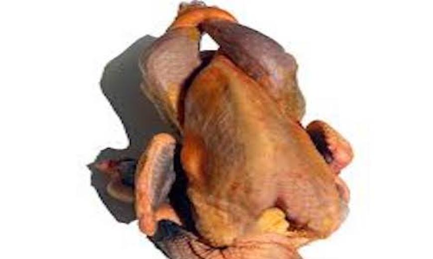 Pintade