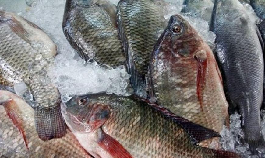 poisson