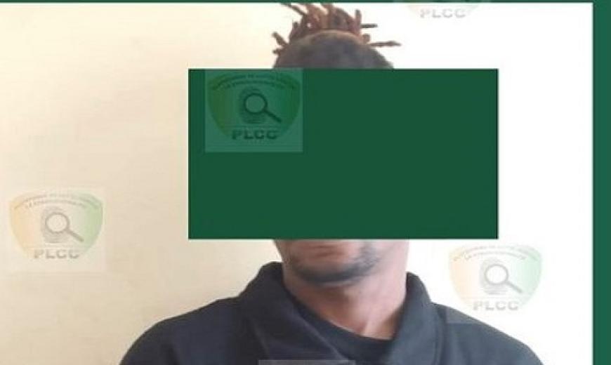 Cybercriminalité