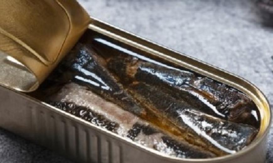 Sardine