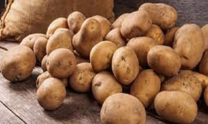 Pomme de terre
