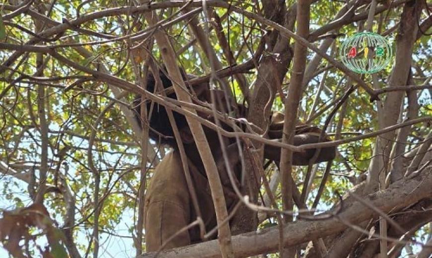 Attaques terroristes Burkina