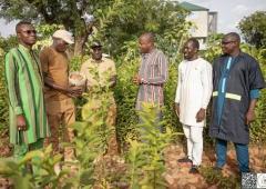 Plant Burkina Faso