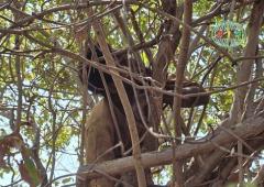 Attaques terroristes Burkina