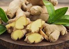 Gingembre 