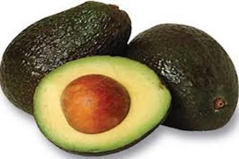 Avocat fruit