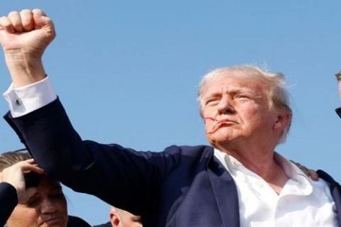 Donald 