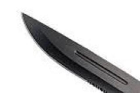 Fait divers Zoodomail