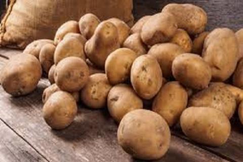 Pomme de terre 
