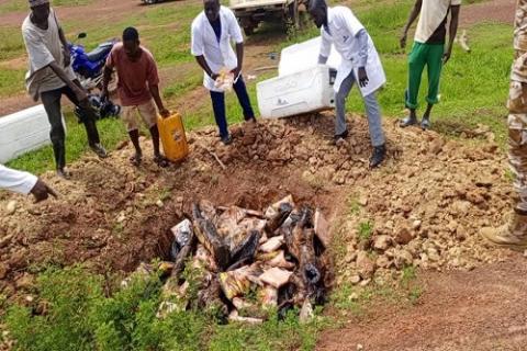 Poulet avarié Burkina