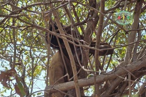 Attaques terroristes Burkina