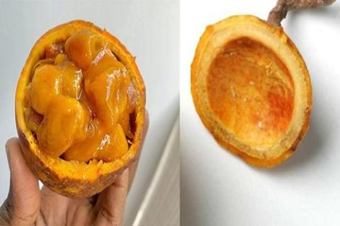Wèda
