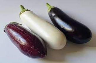 Aubergine