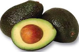 Avocat fruit