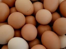 oeuf