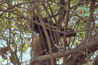 Attaques terroristes Burkina