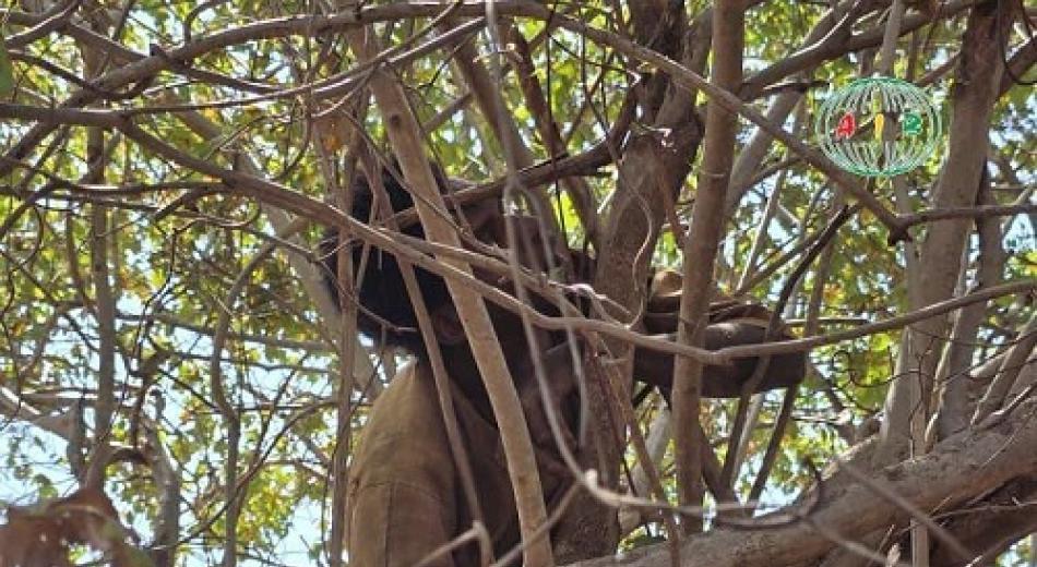 Attaques terroristes Burkina